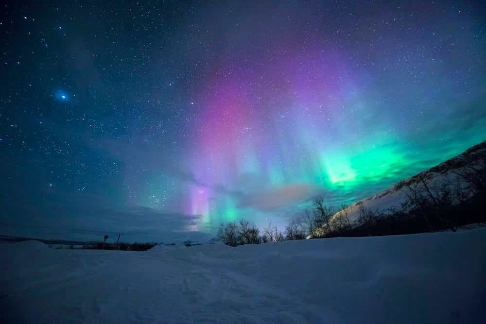 Green aurora across a snowy northern landscape